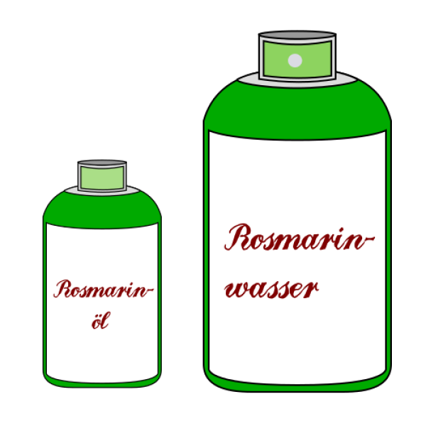 9 m² Rosmarinfeld - 10ml Bio-Rosmarinöl & 150ml Bio-Rosmarinwasser - Ernte 2025